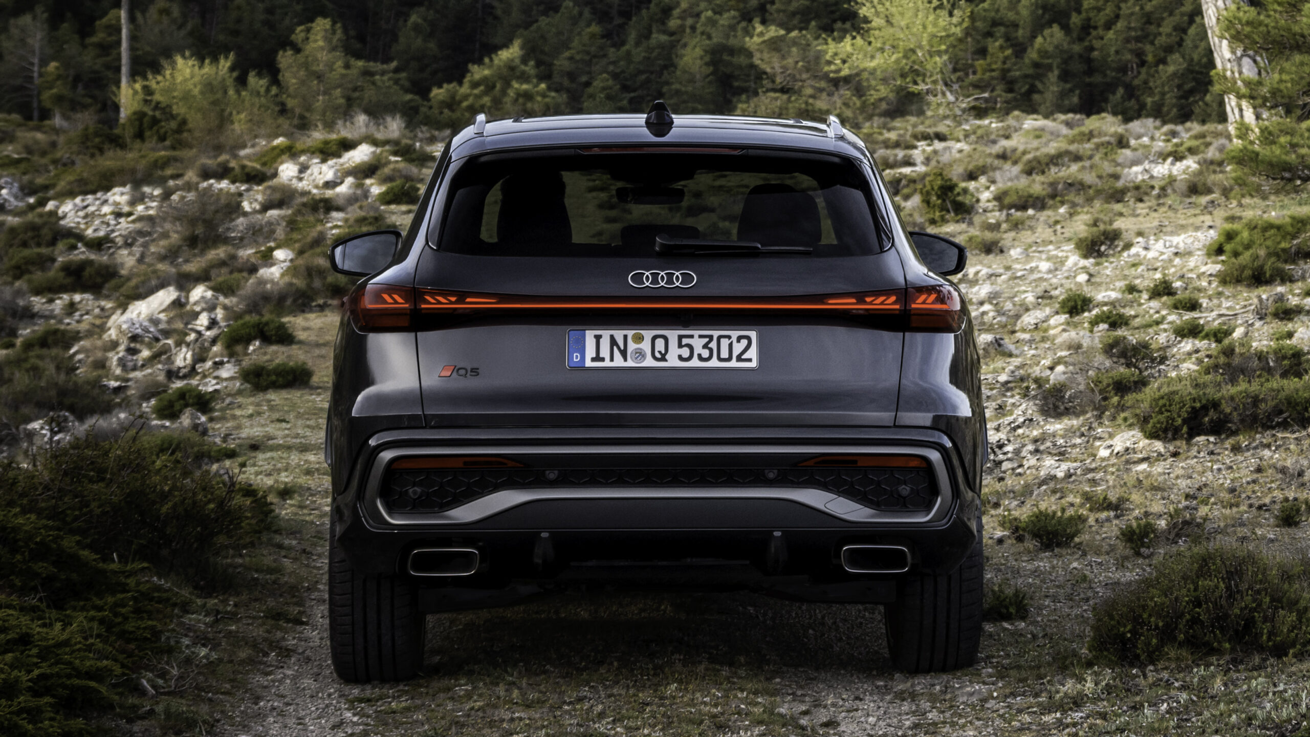 audi-q5-11-1-scaled.jpg?auto=format&cs=t