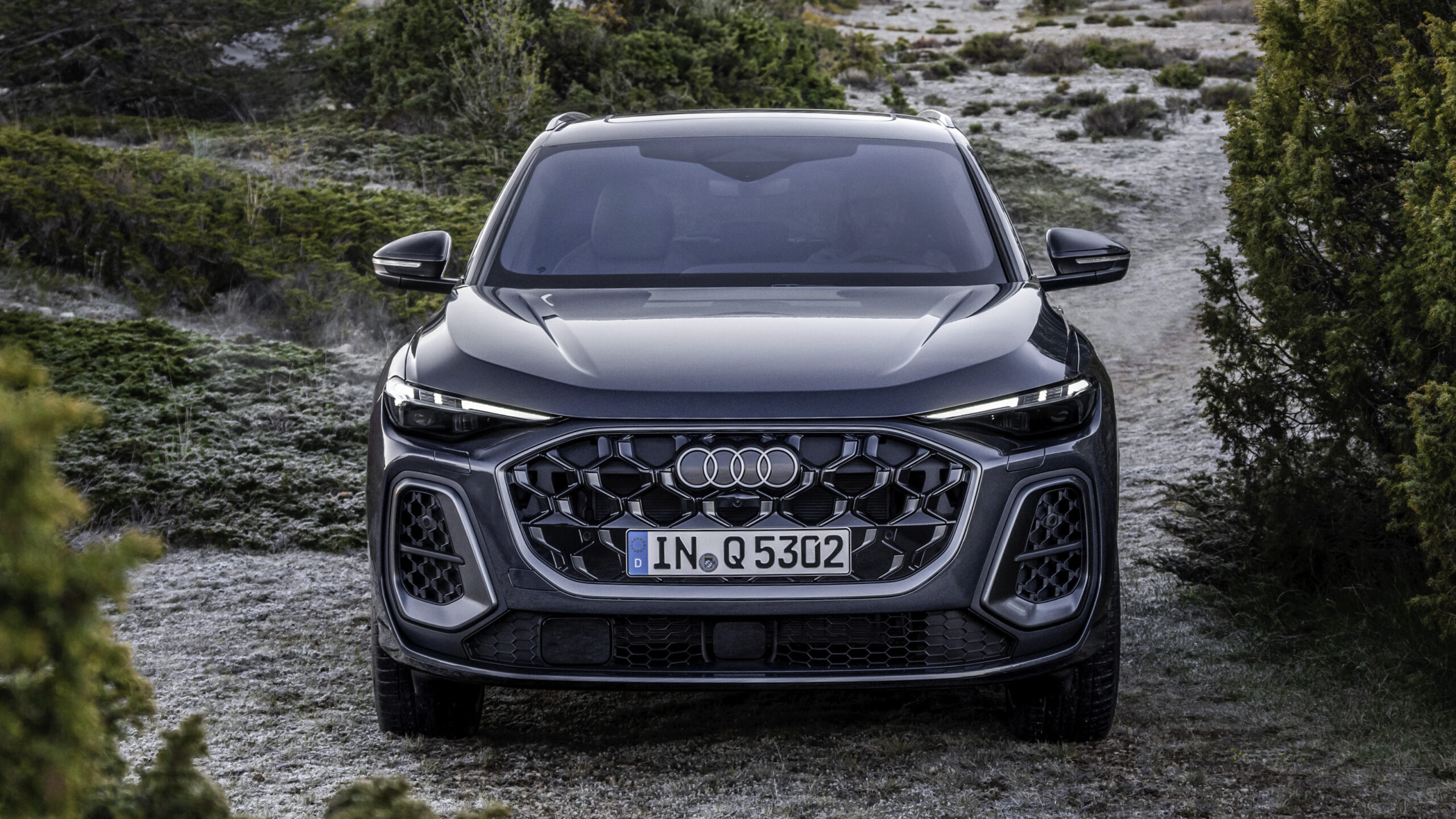 audi-q5-8-1-scaled.jpg?auto=format&cs=ti