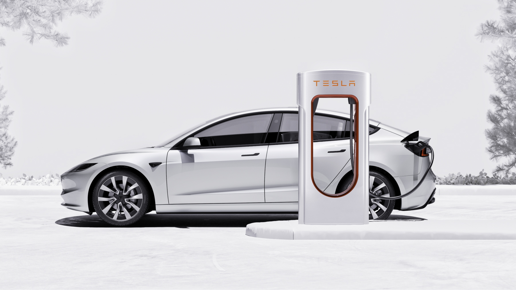 Tesla Model 3 2025 (Highland) precio, lanzamiento y medidas carwow